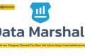 Analyst Job for Freshers in Data Marshall 
