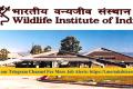 Wildlife Institute of India Research Intern Notification 2022-23 out
