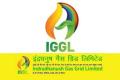 IGGL Recruitment 2023 For Manager & Officer Jobs