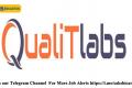 QualiTlabs Hiring HR Recruiter