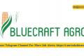 Bluecraft Agro Pvt Ltd. Hiring Trainee Engineer