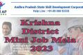 Krishna District Mini Job Mela 2023