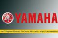 100 Jobs in Yamaha