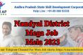 Nandyala District Mini Job Mela for UG Students