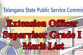 TSPSC Extension Officer Supervisor Grade I Merit List 