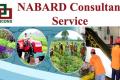 NABARD Consultancy Services Senior or Middle Level Consultants Recruitment