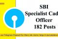 182 Specialist Cadre Officer Posts at SBI