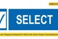 select cars hiring freshers graduate