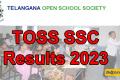 TOSS SSC Results 