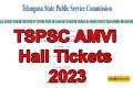 tspsc amvi hall tickets 2023