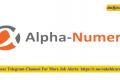 alpha numero technologies trainee verification engineer
