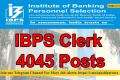 ibps clerk detail notification 2023 