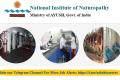 national institute of naturopathy faculty non faculty