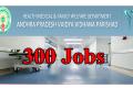 300 Jobs in APVVP