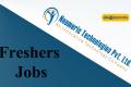 Neumeric Technologies Pvt. Ltd. Recruiting Bench Sales Recruiter
