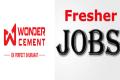 job opening in wonder cement limited 
