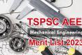 TSPSC AEE Mechanical Merit List 