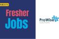 Prowise Solutions Inc Jobs