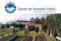 Apply Now for Scientist B Position at Center for Aromatic Plants  Scientist B Recruitment in Center for Aromatic Plants Dehradun   Apply Now for Scientist B Position at Center for Aromatic Plants