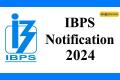 ibps recruitment 2024