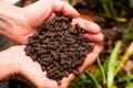 Sri Lanka bans import of organic fertilizers manufactured in China