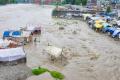 PM Modi speaks to Uttarakhand CM to take stock of situation as heavy rain lashes state