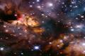 Hubble Telescope Observes Prawn Nebula