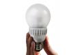 Govt. to distribute LED bulbs at highly subsidized rate at Rs. 10 in 5 states