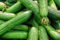 India emerges as largest exporter of cucumber, gherkins in the world 