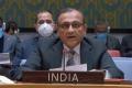 India abstains from voting in UNSC