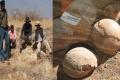 Researchers finds dinosaur eggs in india