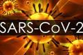 Indian scientists develop novel mechanism to inactivate SARS-CoV-2