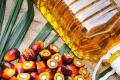 Indian and Malaysian bodies signs deal to support palm oil business