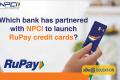 NPCI to launch RuPay credit cards