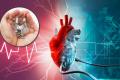 IIT Kanpur develops artificial heart