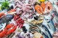 Qatar lifts its temporary ban on the import of frozen seafood from India: Govt
