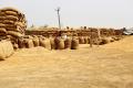 FCI offers 11.72 Lakh Metric Tonnes of wheat via 620 depots in third e-auction