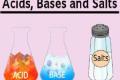 AP Tenth Class Physical Science Acids Basis And Salts(TM) Important Questions