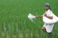 Russia Replaces China to Become the Biggest Supplier of Fertilizers to India