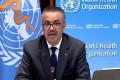 WHO Director-General Dr Tedros Adhanom Ghebreyesus 