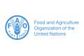 Agrifood systems employ 1.23 bln people globally: FAO
