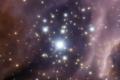 Peeking Into the Cosmic Cradle: Webb Telescope Unveils a Massive Protocluster’s Baby Photos