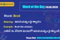 Word of the Day (16.05.2023)