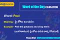 Word of the Day (18.05.2023)