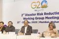 G-20 Disaster Risk Reduction Working Group 