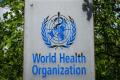WHO issues warning over probable spike in dengue fever cases in Afghanistan