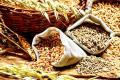Foodgrain production estimated to be over 3305 lakh tonnes in current agricultural year 2022-23