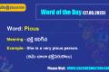 Word of the Day (27.05.2023)