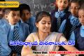 Check for Co-Educational Schools in AP