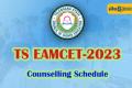 TS EAMCET final phase counselling